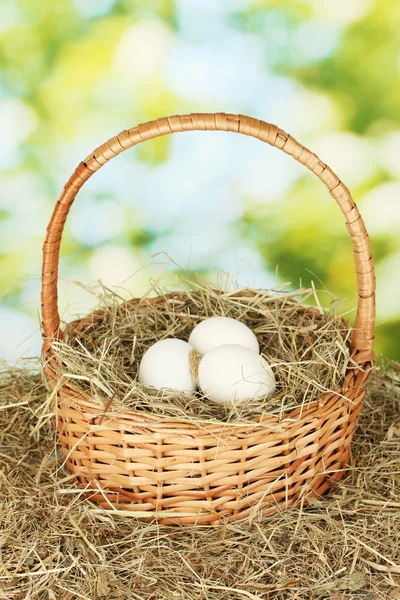 Ovos brancos em uma cesta de vime em feno em fundo verde — Fotografia de Stock