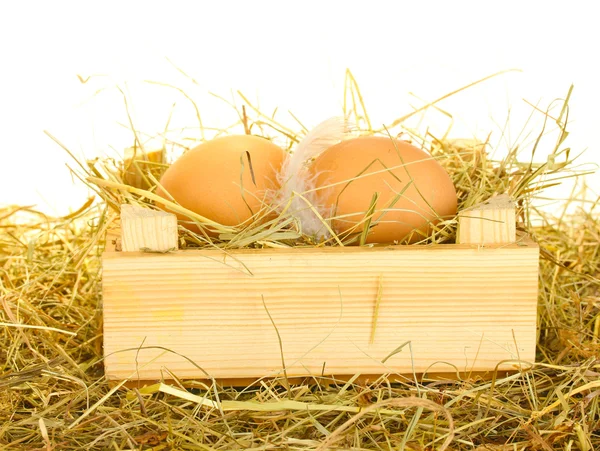 Ovos castanhos em uma caixa de madeira no feno no fundo branco — Fotografia de Stock