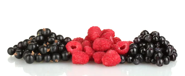 Fresh berries isolated on white — Stock Photo, Image