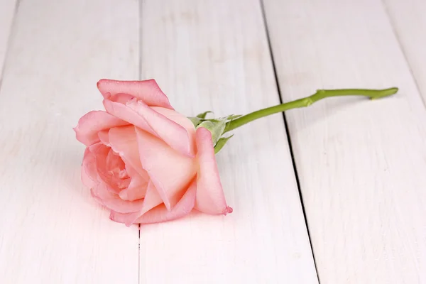 Ροζ τριαντάφυλλο σε ξύλινο φόντο — Φωτογραφία Αρχείου