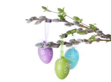 Pussy-willow twigs with Easter eggs isolated on white clipart