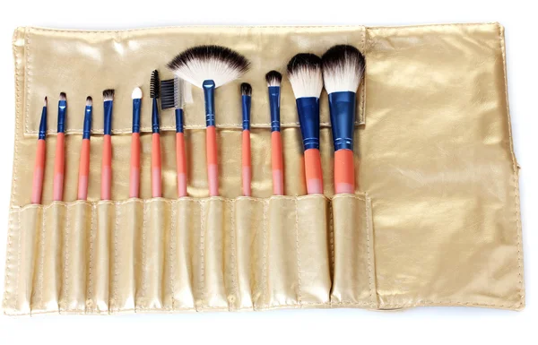 Set of make-up brushes in golden leather case isolated on white — Stock Photo, Image