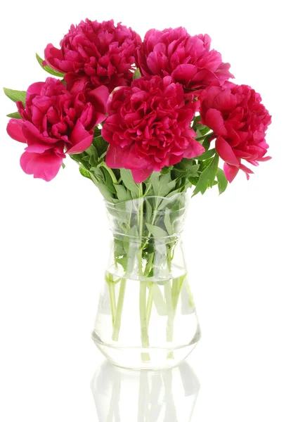 Belles pivoines roses dans un vase en verre avec arc isolé sur blanc — Photo