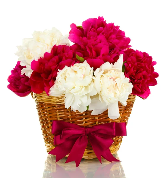 Hermosas peonías rosadas y blancas en cesta con lazo aislado sobre blanco —  Fotos de Stock