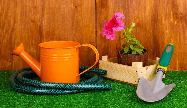 Gardening tools on wooden background — Stock Photo, Image