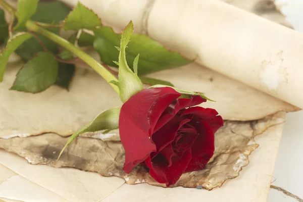 stock image The old parchments and letters with a rose on a white background close-up