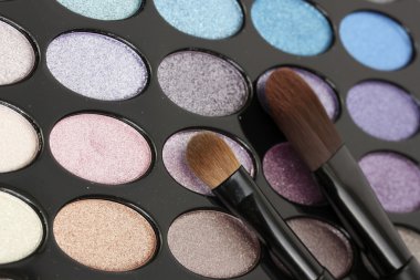 Shadow kit with brushes for make-up clipart