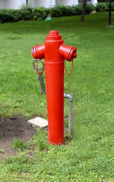 Hidrante de agua roja en el césped —  Fotos de Stock