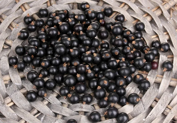 Black currant on wicker mat close-up — Stock Photo, Image