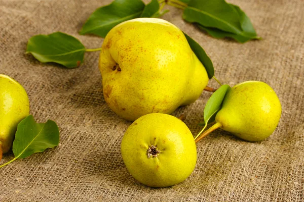 Saftiga smakrika päron på säckväv — Stockfoto