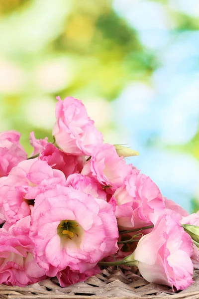 Boeket van eustoma bloemen, op groene achtergrond — Stockfoto