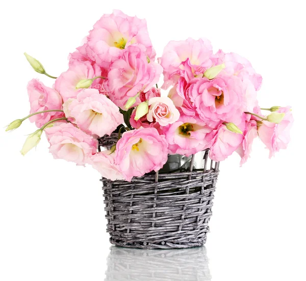 Bouquet of eustoma flowers in wicker vase, isolated on white — Stock Photo, Image