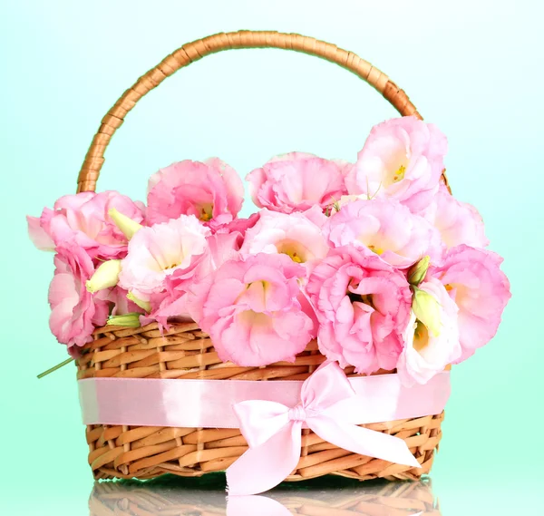Bouquet of eustoma flowers in basket, on blue background — Stock Photo, Image