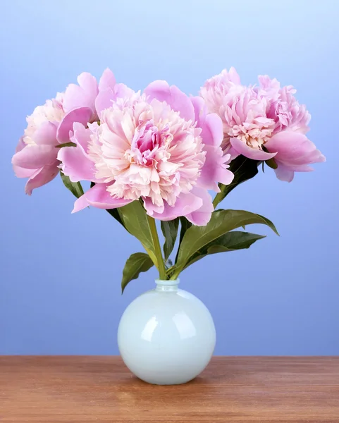 Três peônias cor-de-rosa em vaso sobre mesa de madeira em fundo azul — Fotografia de Stock