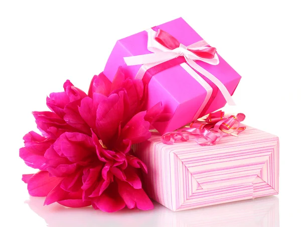 Beautirul růžový dárky a Pivoňka květ izolované na bílém — Stock fotografie