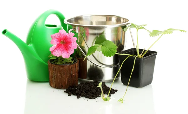 Watering can, bucket, and plants in flowerpot isolated on white — Stock Photo, Image
