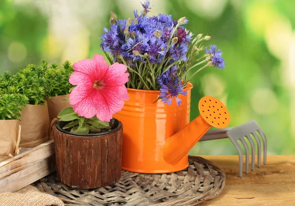 Konewka, narzędzia i kwiaty na drewnianym stole na zielonym tle — Zdjęcie stockowe