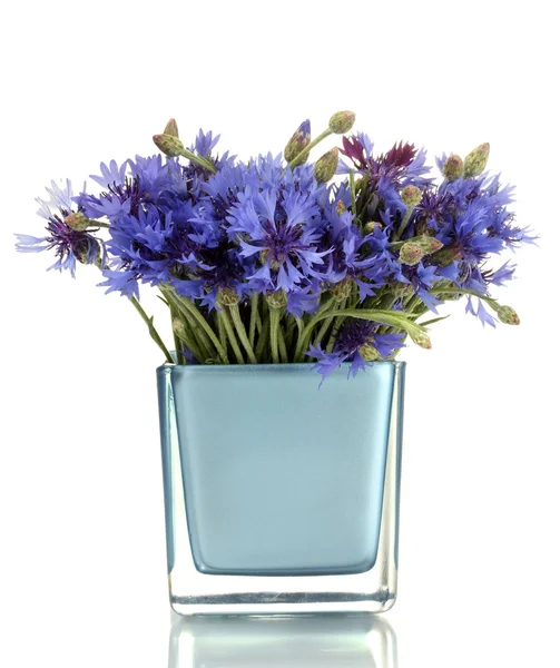 Bleuets dans un vase isolé sur blanc — Photo