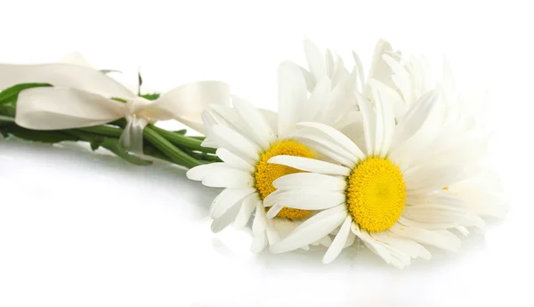 Bellas flores de margaritas aisladas en blanco —  Fotos de Stock