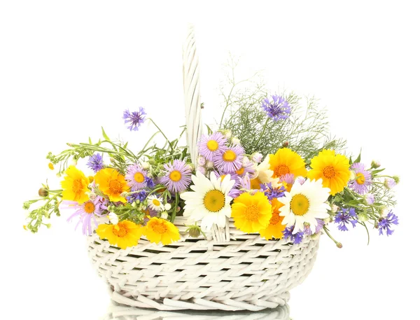 Гарний букет з яскравих диких квітів в кошику, ізольований на білому — стокове фото