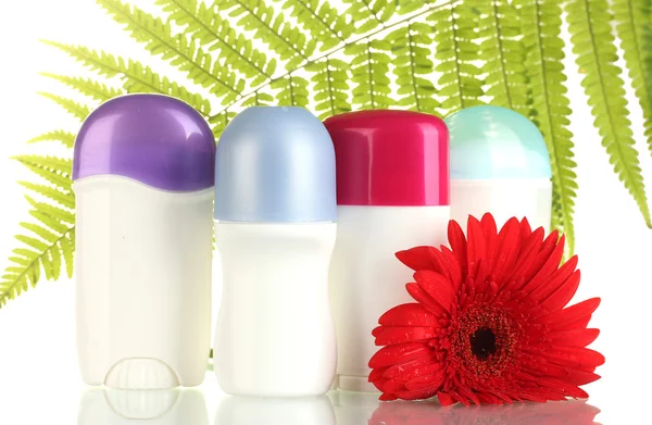 Deodoranty s kytičkou a zelená listová izolovaných na bílém — Stock fotografie