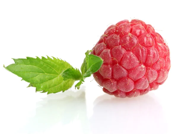 Ripe raspberry with mint isolated on white — Stock Photo, Image