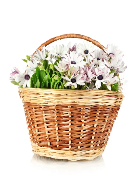 美しい夏の花のバスケット、白で隔離される花束 — ストック写真