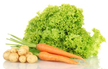 Young potatoes, carrots and lettuce isolated on white clipart