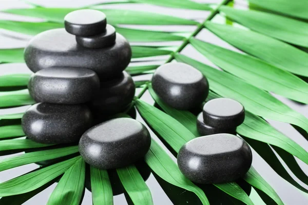 Spa stones on green palm leaf on grey background — Stock Photo, Image