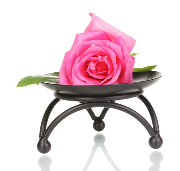 Mooie roos op metalen voet geïsoleerd op wit — Stockfoto