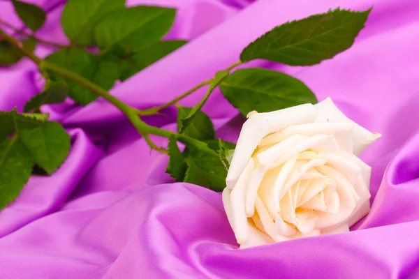 Όμορφο τριαντάφυλλο σε λιλά ύφασμα — Φωτογραφία Αρχείου