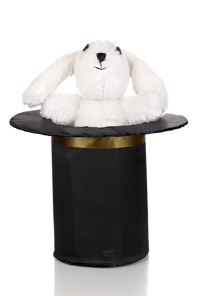 Bunny och svart cylinder isolerad på vit — Stockfoto