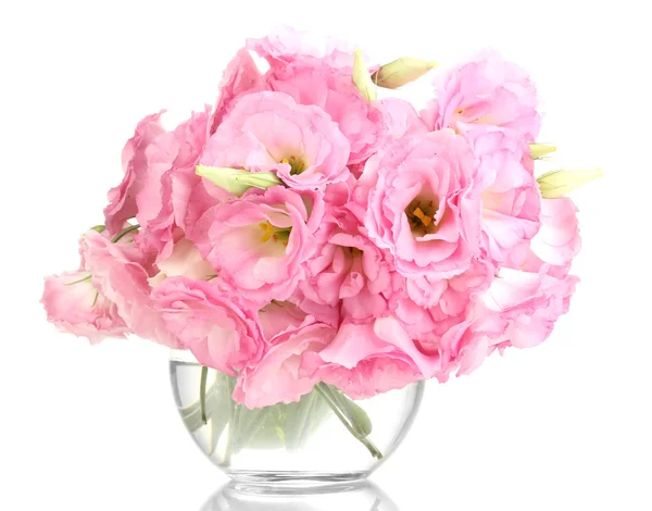 Bouquet of eustoma flowers in vase, isolated on white — Stock Photo, Image