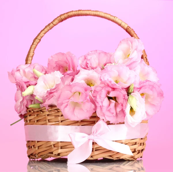 Bouquet of eustoma flowers in basket, on pink background — Stock Photo, Image