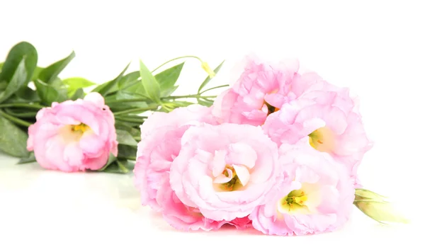 Buquê de flores de eustoma, isolado em branco — Fotografia de Stock