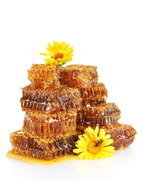 Сладкие соты с медом, пчелы на цветах, изолированные на белом — стоковое фото