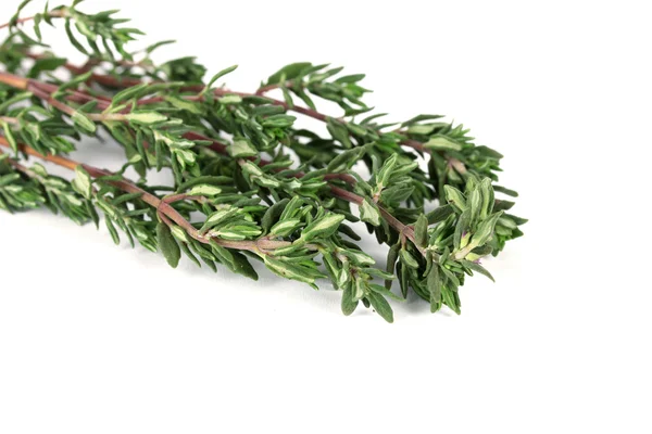 Fresh green thyme isolated on white — Stock Photo, Image