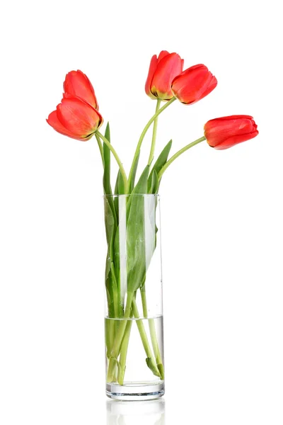 Belles tulipes dans un vase isolé sur blanc — Photo