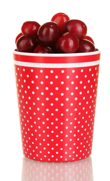 Kirschen in einer roten Tasse mit Punkten isoliert auf weiß — Stockfoto
