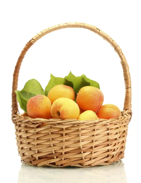 Rijp abrikozen met groene bladeren in mand geïsoleerd op wit — Stockfoto