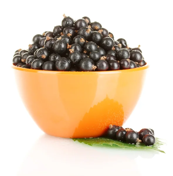 Ribes nero fresco in ciotola d'arancia isolato su bianco — Foto Stock