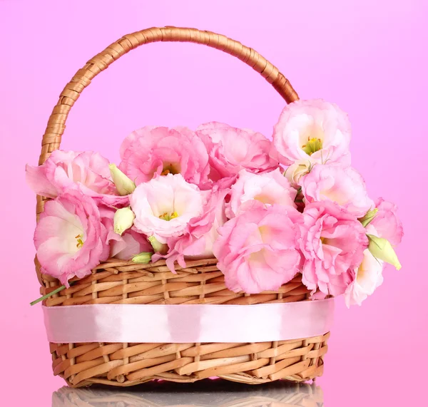 Bukiet eustoma kwiaty w koszyku, na tle różowy — Zdjęcie stockowe