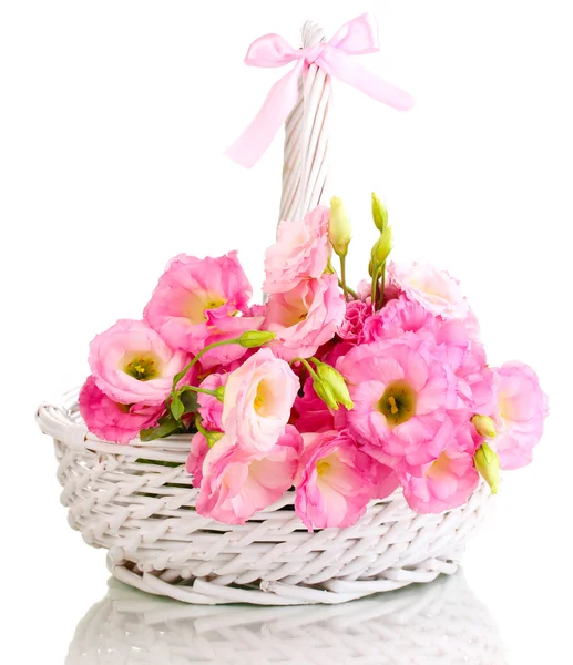 Ramo de flores de eustoma en cesta, aislado en blanco — Foto de Stock