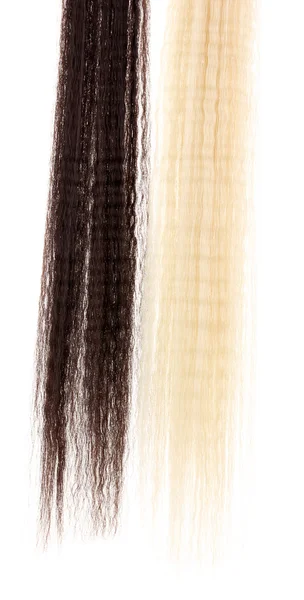 Louro ondulado e cabelo castanho isolado em branco — Fotografia de Stock