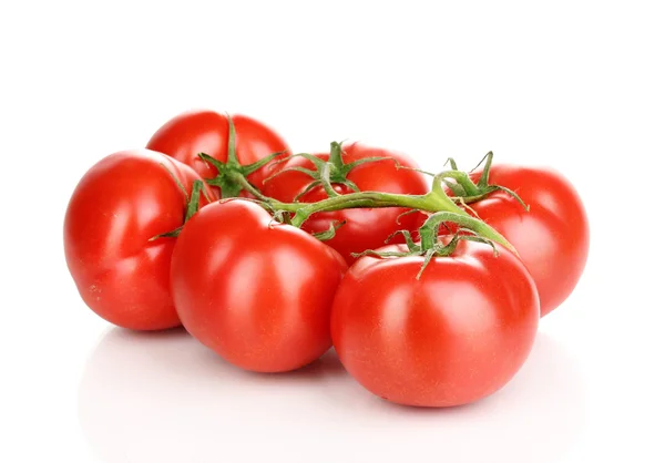 Frische Tomaten auf Zweig isoliert auf weiß — Stockfoto