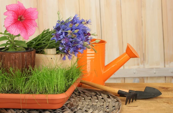 Regadera, herramientas y flores sobre fondo de madera — Foto de Stock