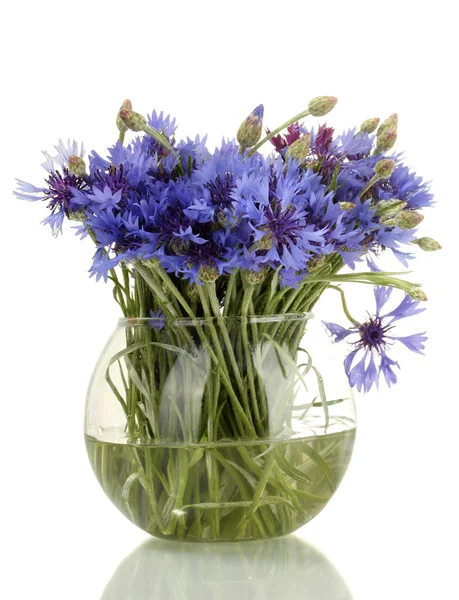 Flores de milho em vaso de vidro isolado em branco — Fotografia de Stock