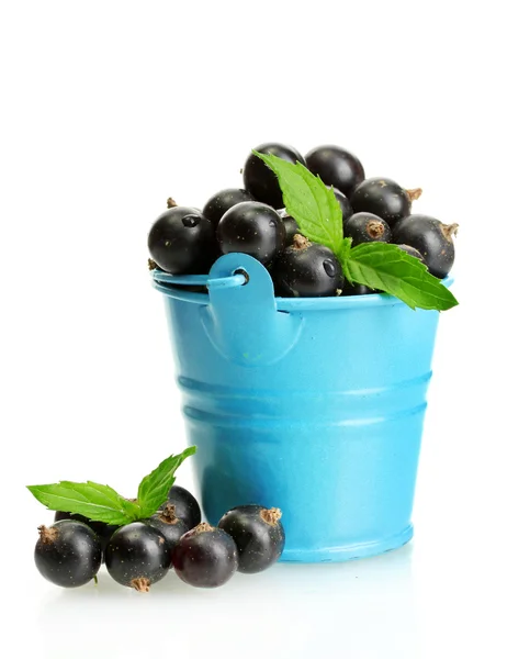 Blueberris em balde com hortelã isolada sobre branco — Fotografia de Stock