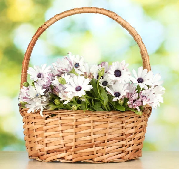 Buquê de belas flores de verão em cesta, no fundo verde — Fotografia de Stock