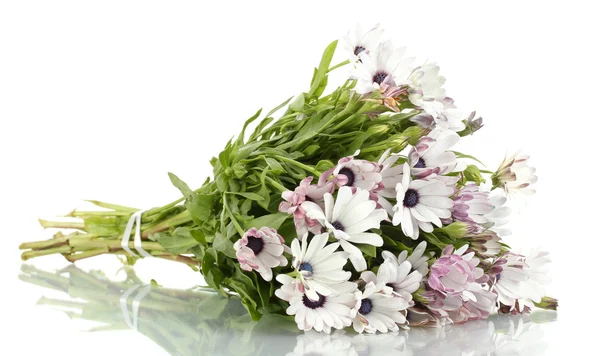Strauß schöner Sommerblumen, isoliert auf weißem Grund — Stockfoto